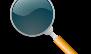 How to Find Trusted Sellers of Fitness Equipment Online