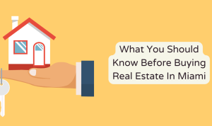 Understanding the Real Estate Market Before You Buy Made Easy