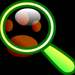 How to Find the Best Realtor for Your Property Sale Made Easy