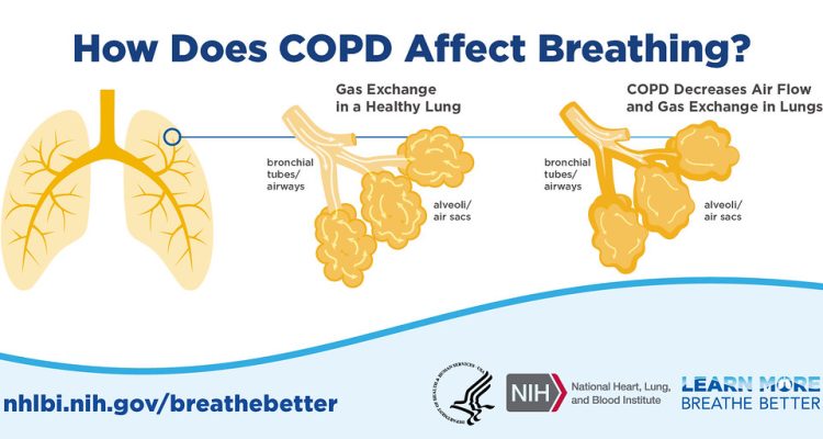 How Breathing Apps Reduce Anxiety in Minutes and More