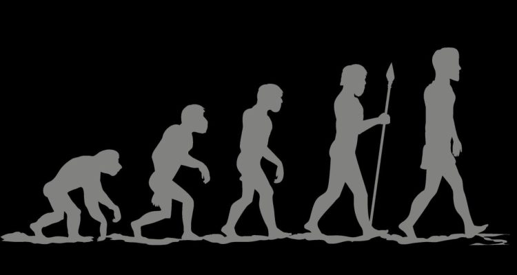 The Evolution of Water Reminder Apps Unleashing Hydration Potential