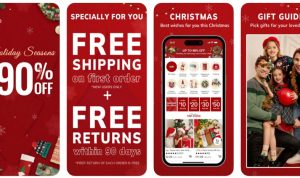 Exploring Temus Local Seller Program in America